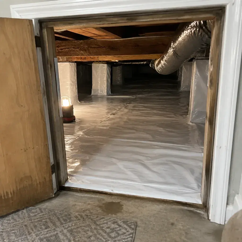 Crawl Space Sewage Cleanup service in the United States